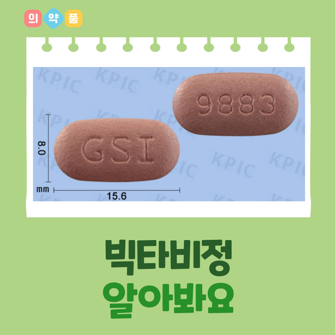 빅타 이미지
