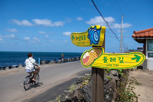  코로나19 확진자 3박 4일 제주 여행