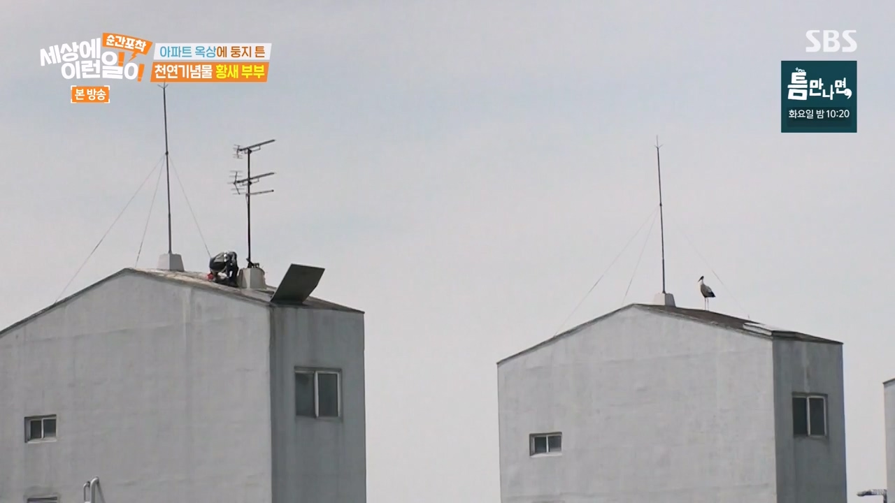 순간포착 세상에 이런일이.E1276.240505p-NEXT.mp4_20240505_151155.081.jpg