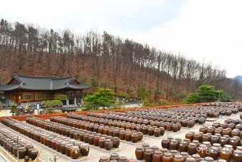 세종 가볼만한곳 베스트10 여행 놀거리 맛집 알아보기_5
