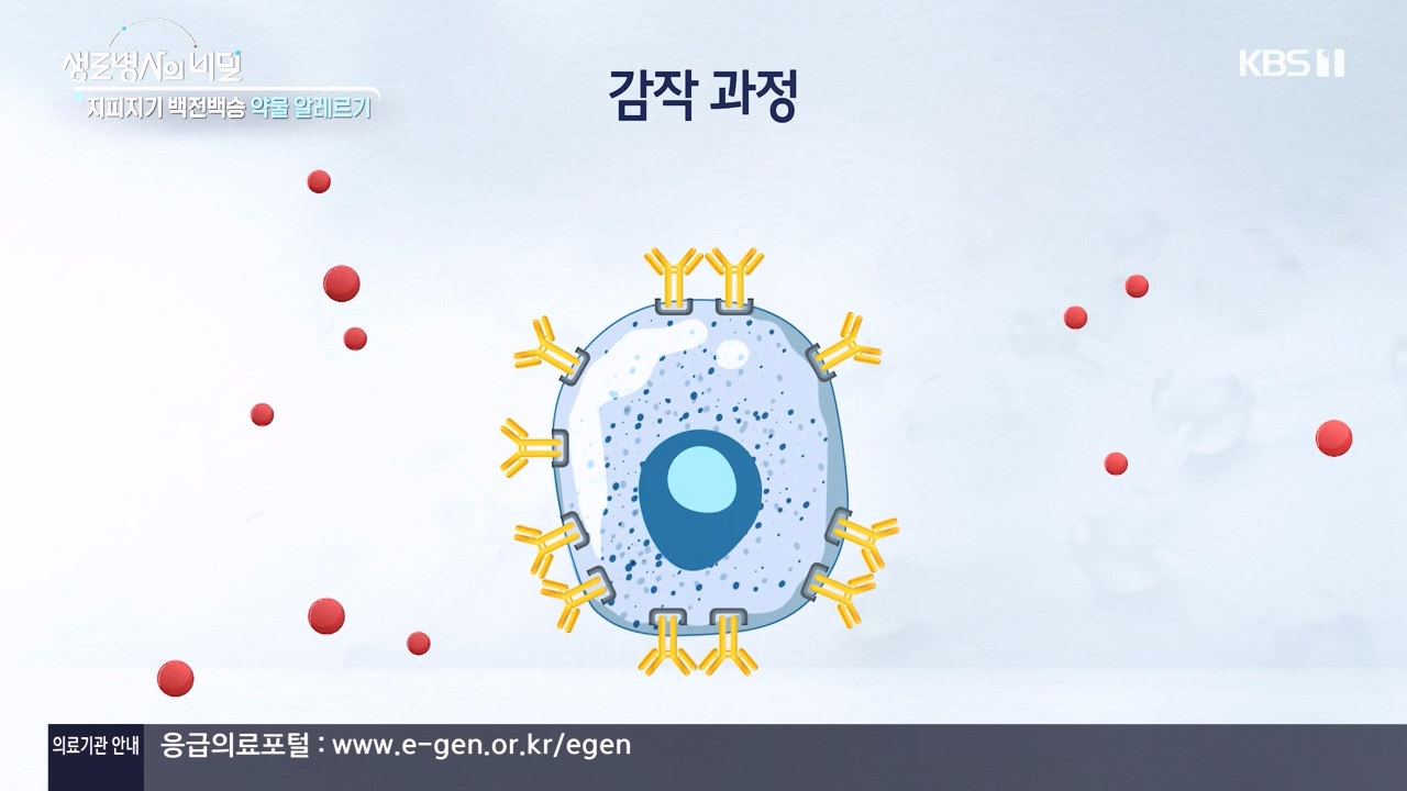 생로병사의 비밀.E910.240509p-NEXT.mp4_20240509_202517.854.jpg