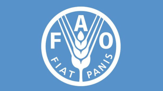 식량농업기구(FAO)