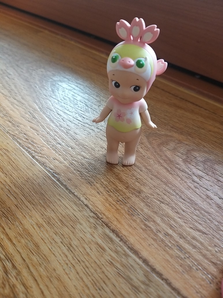 엔젤이 백신접종하고 버스시간 남아서 13