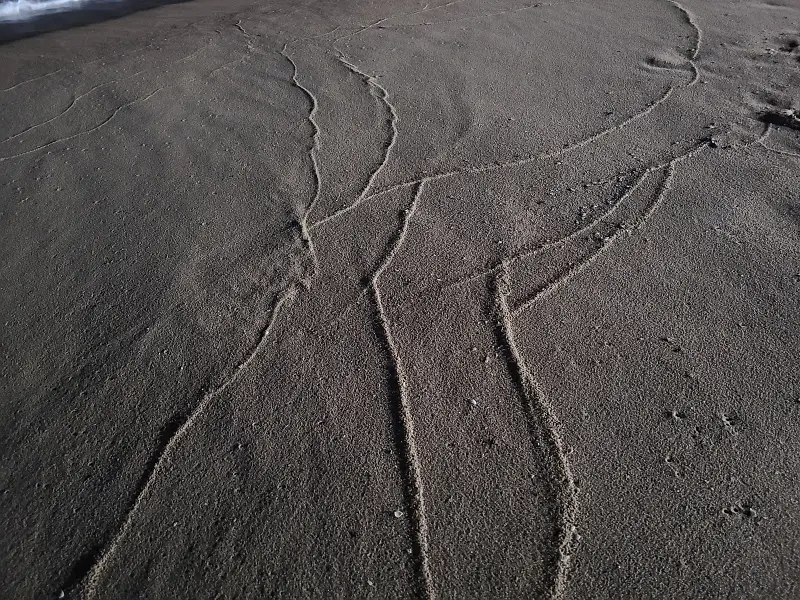 해변가모래
