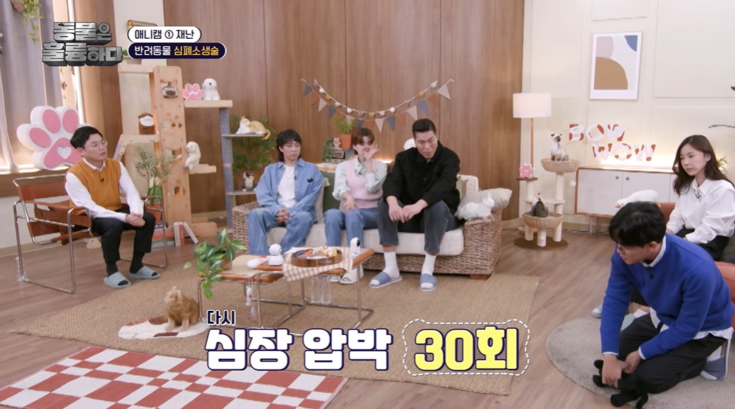 반려인들은 알아두면 좋을 만한 정보들...jpg | 인스티즈