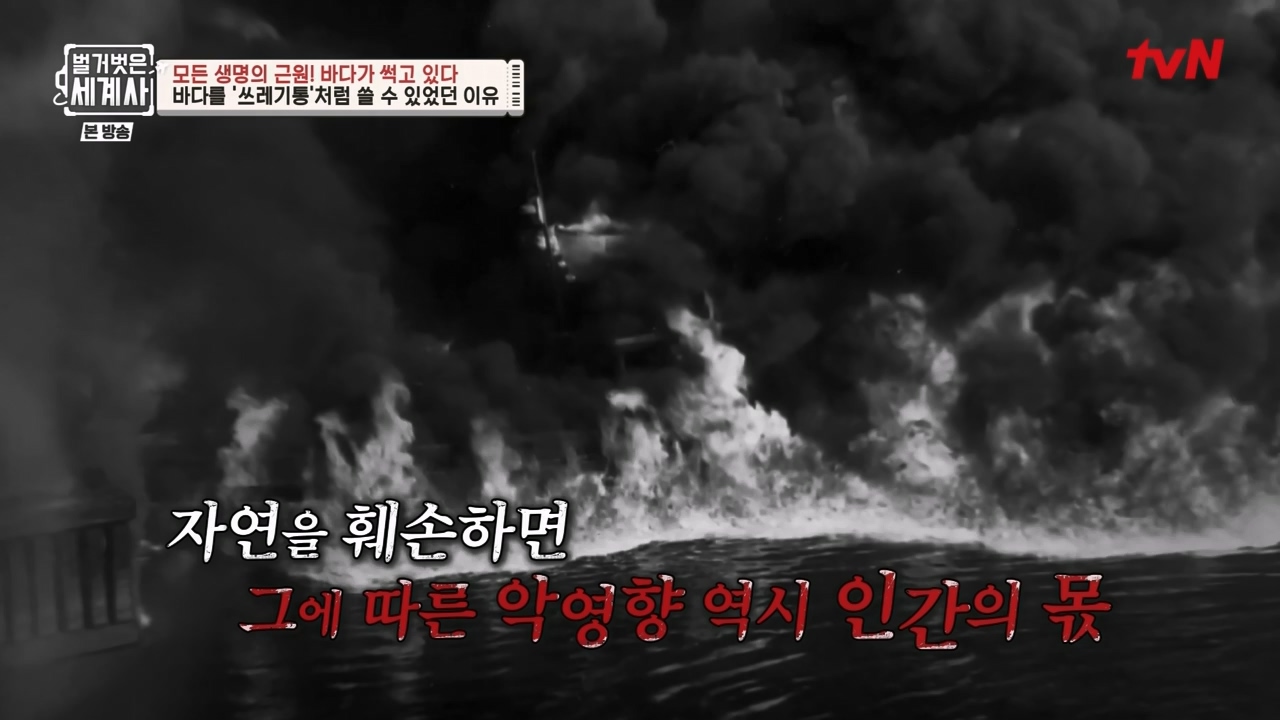 벌거벗은 세계사.E90.230315p-NEXT.mp4_20230419_212537.282.jpg