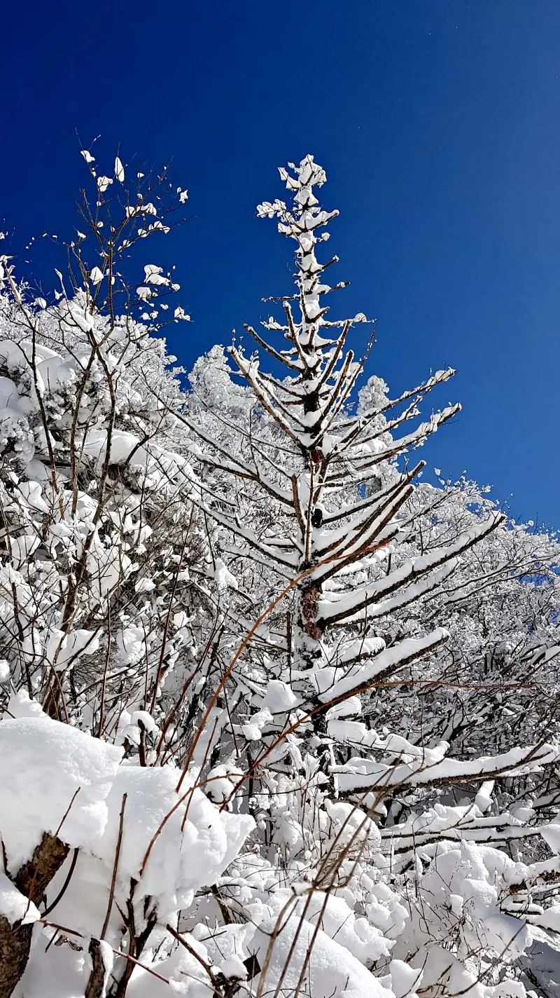 지리산 설경 상고대