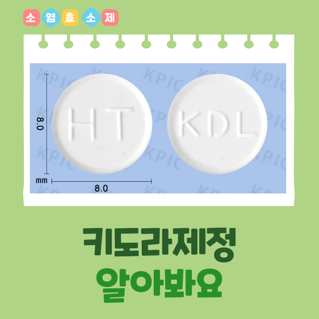 키도라제정