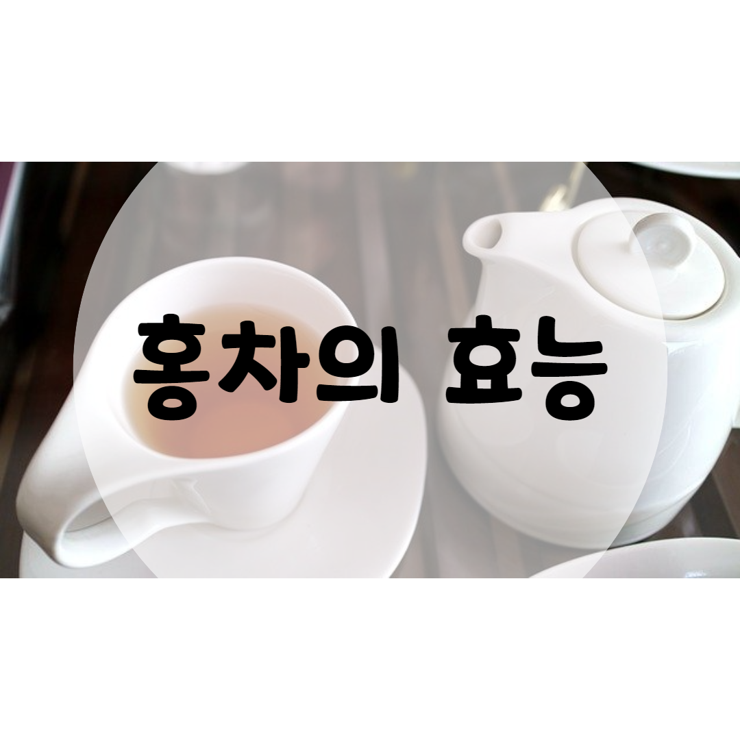  홍차 효능 7가지와 주의사항