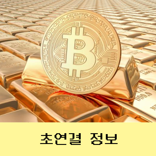  비트코인과 디지털화폐의 미래