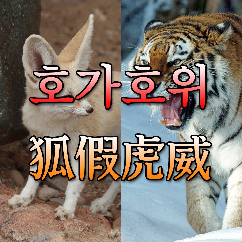 호가호위