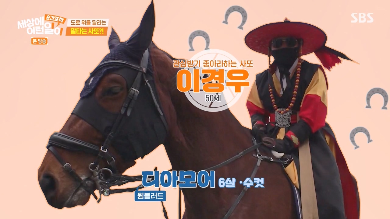 순간포착 세상에 이런일이.E1267.240303p-NEXT.mp4_20240303_161728.911.jpg