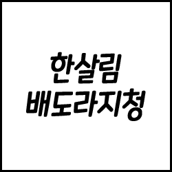  미세먼지가 다가오는 계절 한살림 배도라지청으로 미리 기관지 관리해요~