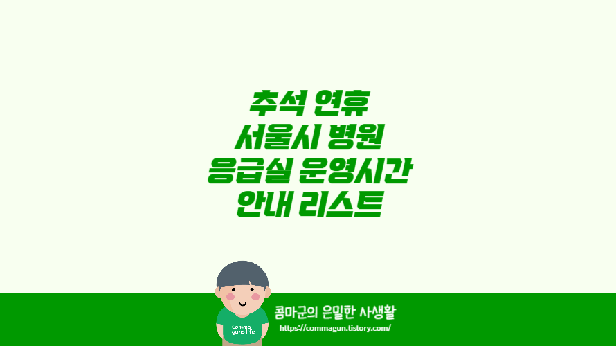 추석 연휴 서울시 병원 응급실 운영시간 안내 리스트