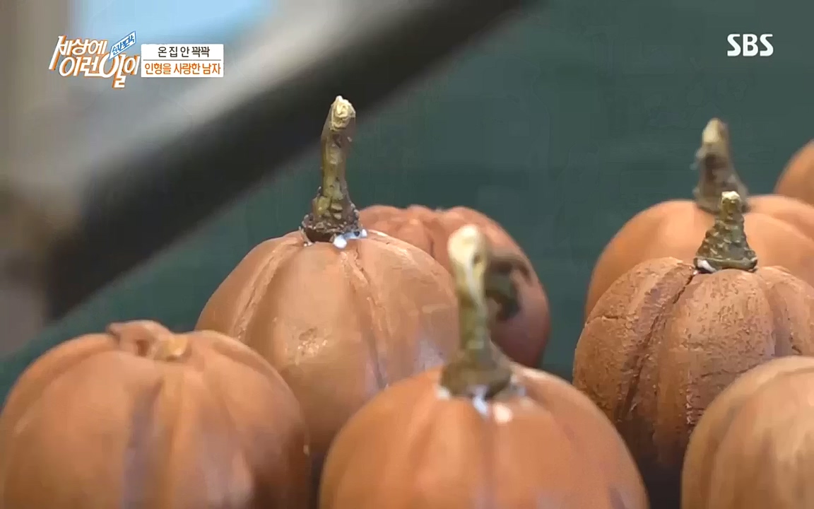 순간포착 세상에 이런일이.E1201.221011.H265p-BULDU.mp4_20221012_203026.936.jpg