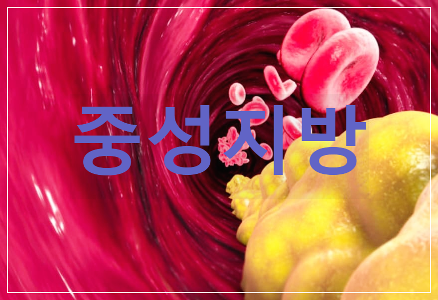  중성지방 : 우리 몸의 여러 곳에 존재하는 체내에서 합성되는 지방의 한 형태