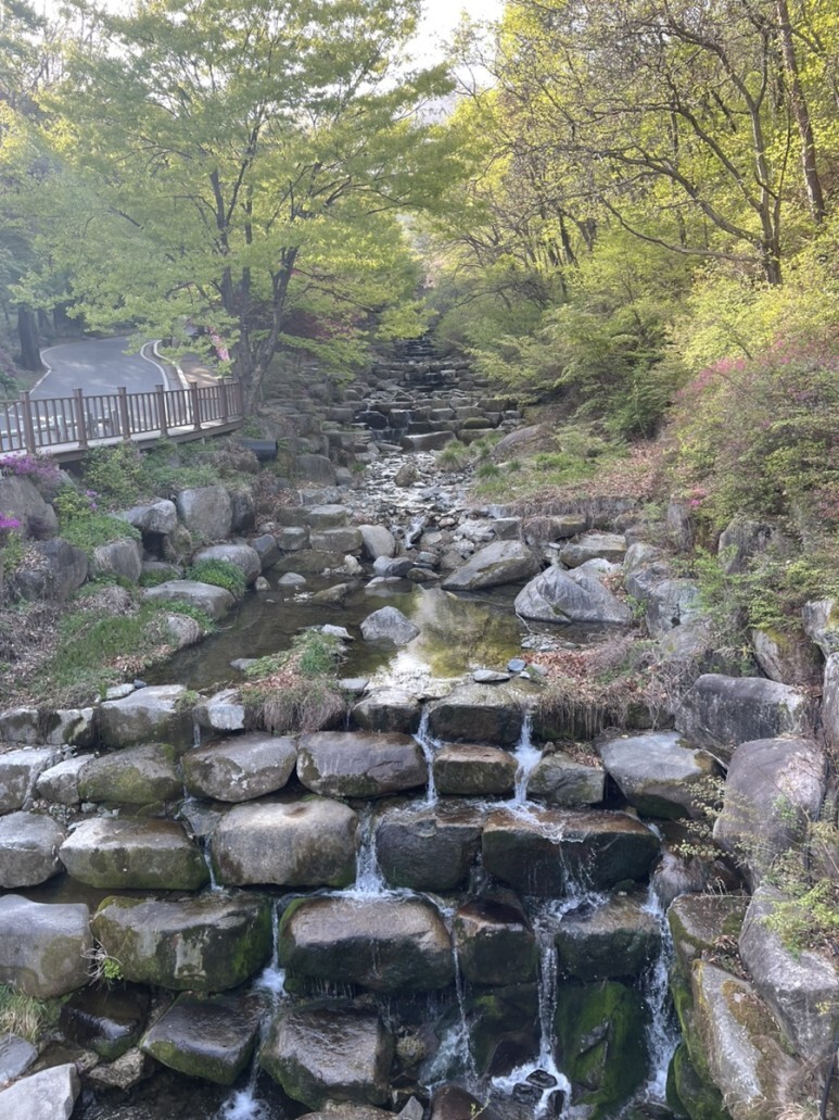 비슬산