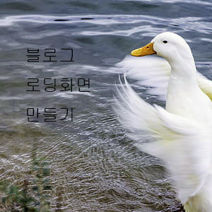  블로그에 로딩 화면 만들기