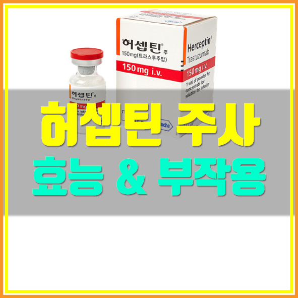 허셉틴 주사 부작용
