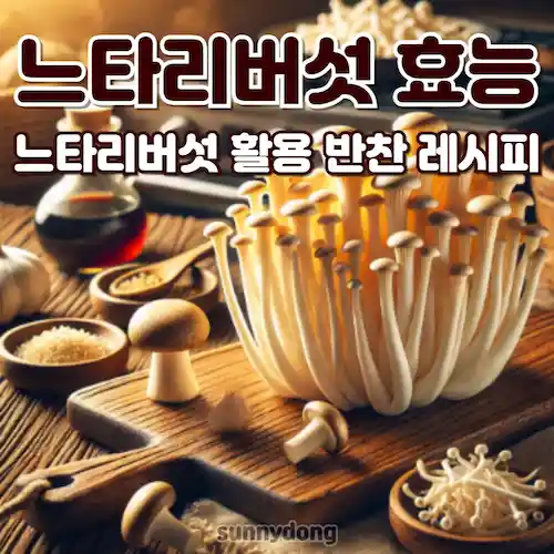 느타리버섯 효능 및 느타리버섯 활용 반찬 레시피 썸네일