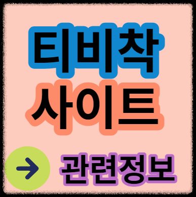  티비착 누누티비 우회 사이트 및 불법 단속 정보 알아보기