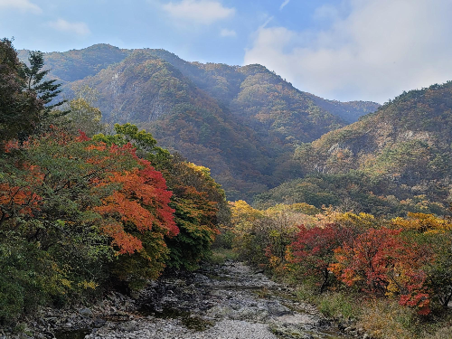  내장산 국립공원 단풍 구경하기