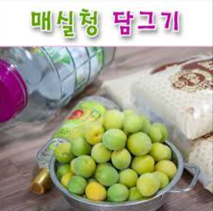 매실청 담그는법 초보자도 실패 없이 성공하는 비법