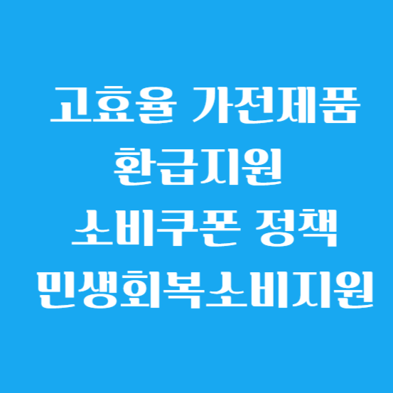 고효율 가전제품 환급 지원, 소비 쿠폰 정책(민생 회복 소비 지원)