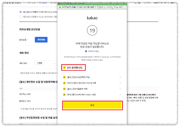 카카오 뷰 19세 이상 인증 이미지