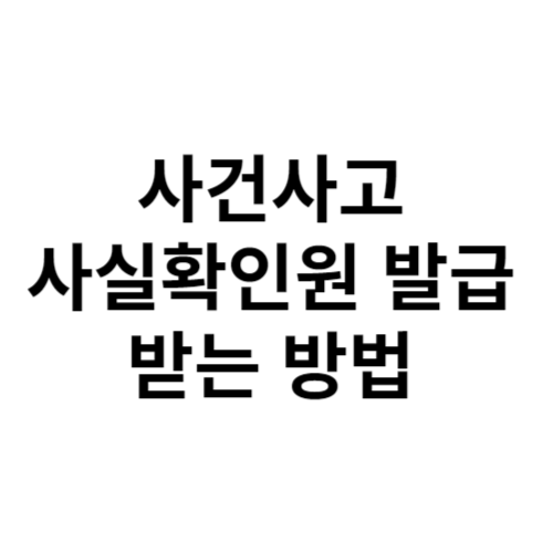 사건사고사실확인원 발급 받는 방법