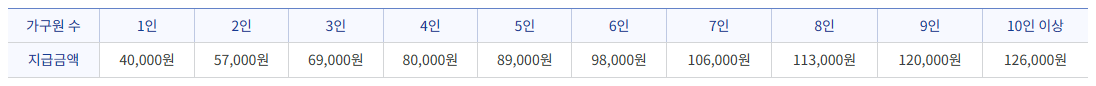 지급금액-부연설명