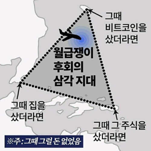 그 때 살걸 그 때 샀더라면 , 대중의 반복 후회 프로세스