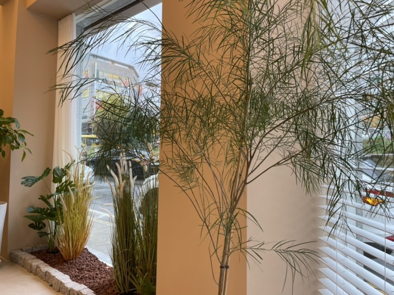 분위기 신상 카페 충주 베이커리 바위의 따뜻한 8