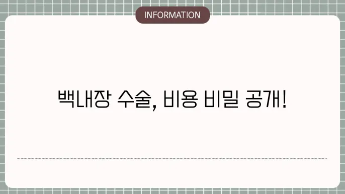 백내장 비급여: 