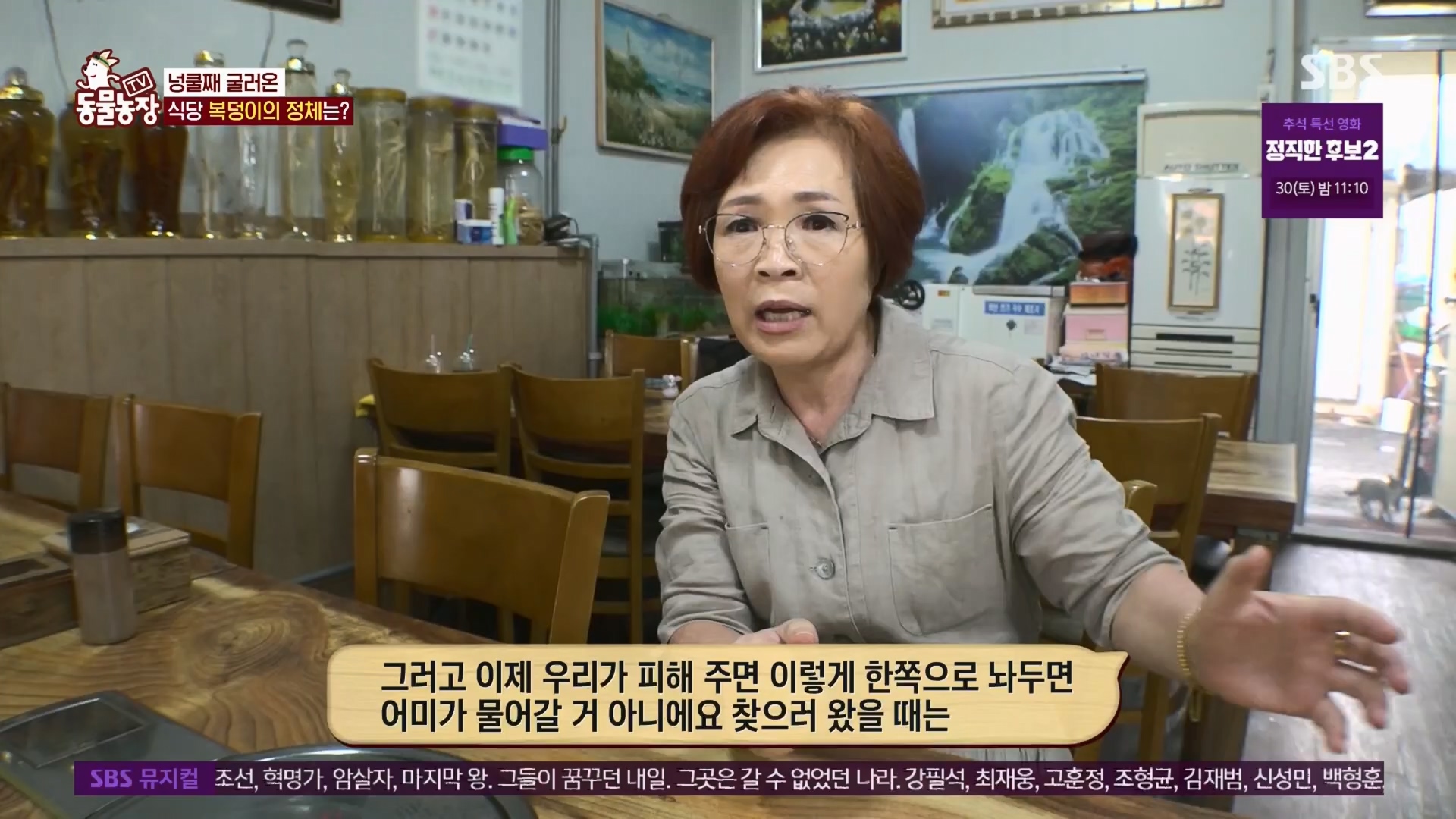 TV 동물농장.E1139.230924p.H264-F1RST.mp4_20230924_172332.534.jpg