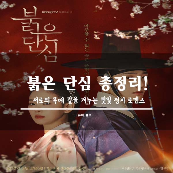  붉은 단심 총정리!