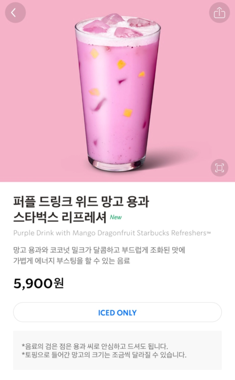 퍼플 드링크 위드 망고 용과 스타벅스 리프레셔 가격&amp;#44; 커스텀