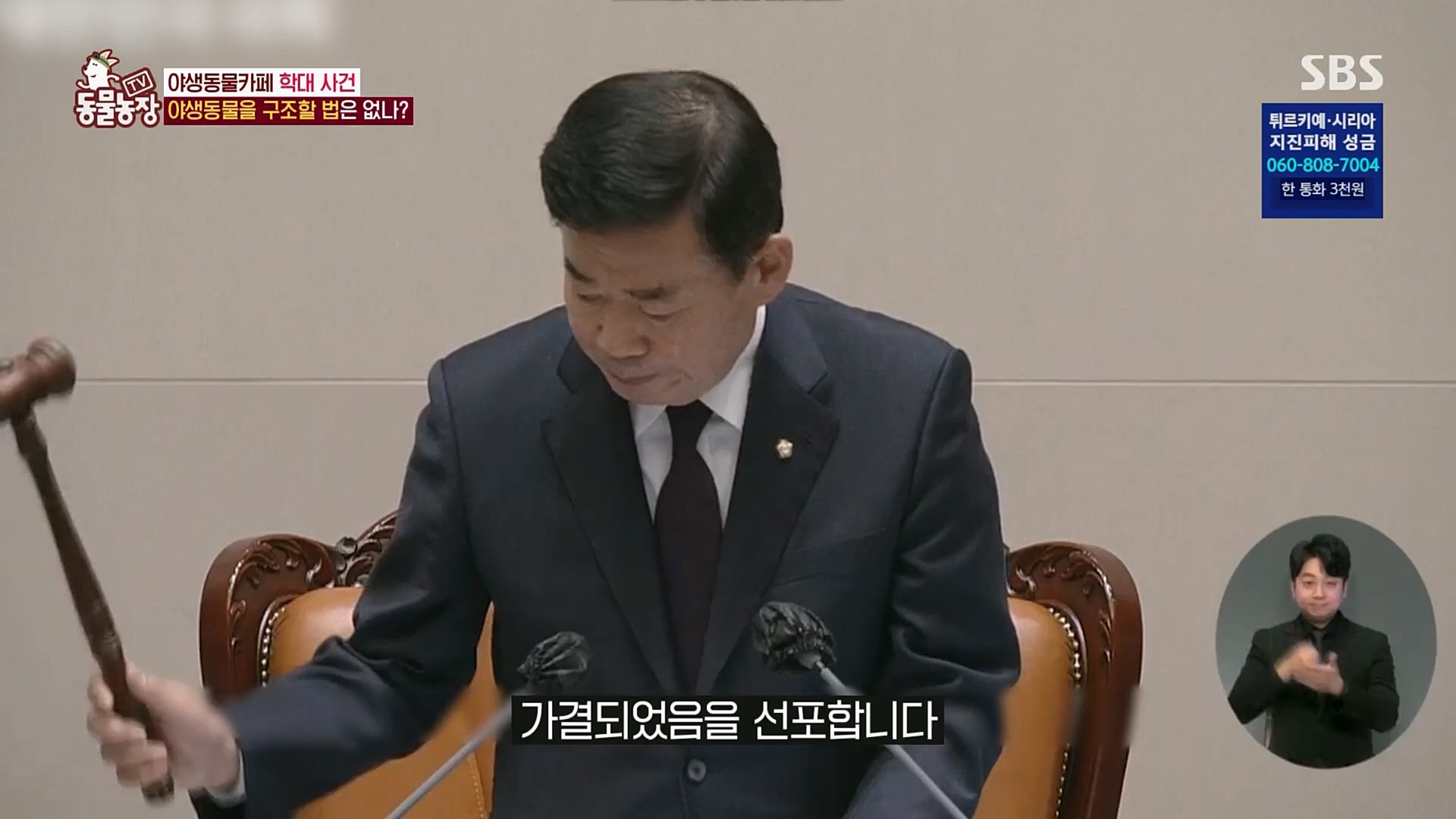 TV 동물농장.E1108.230212p.H264-F1RST.mp4_20230212_182201.811.jpg