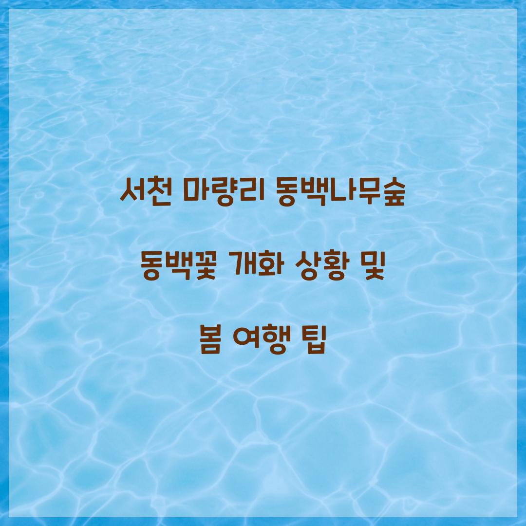 서천 마량리 동백나무숲 동백꽃 개화 상황