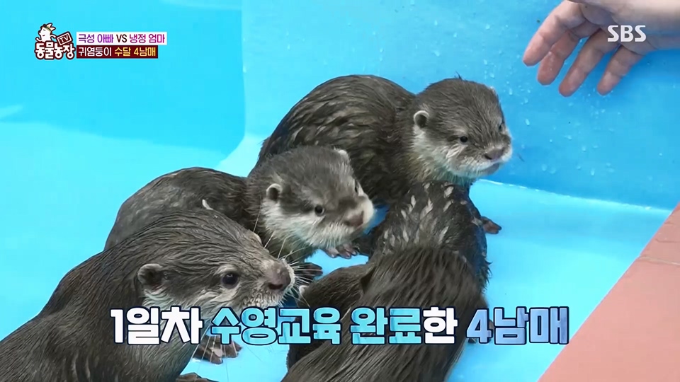 TV 동물농장.E1128.230709p.H264-F1RST.mp4_20230709_183618.617.jpg