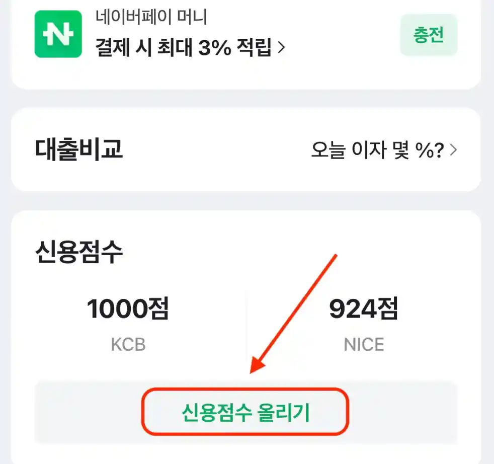 네이버페이