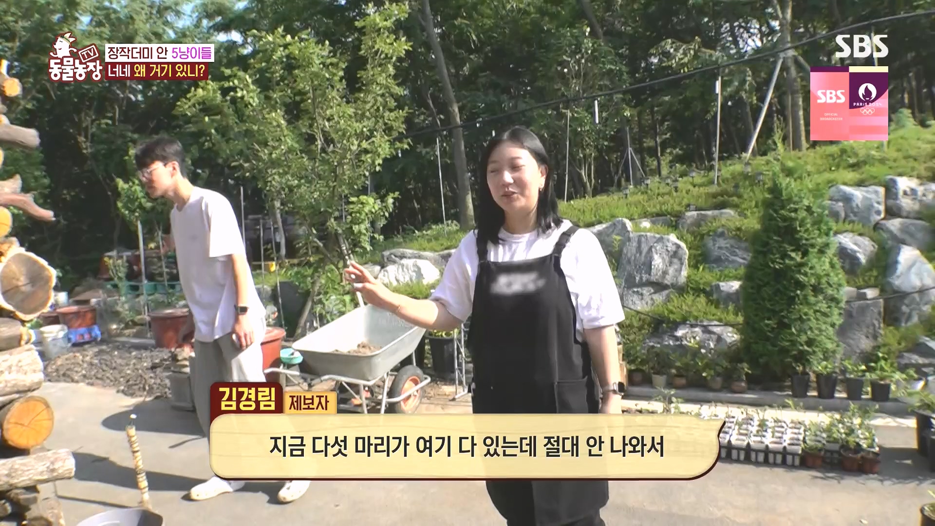 TV 동물농장.E1182.240728p.H264-F1RST.mp4_20240728_152522.020.jpg