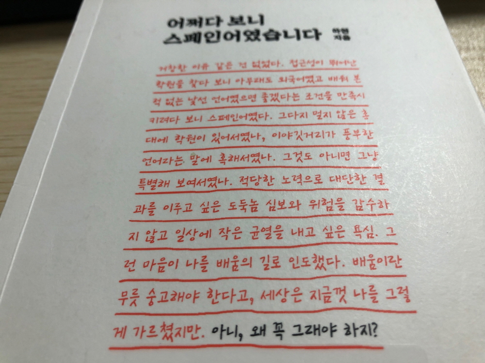  어쩌다 보니 스페인어였습니다
