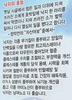 낙지의효능