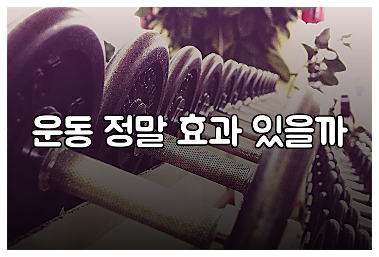 운동 정말 효과 있을까