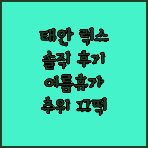 태안 럭스펜션텔 솔직 후기! 추위에도