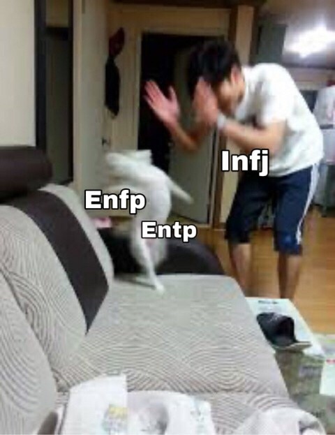 ENTP, ENFP와-INFJ의-관계
