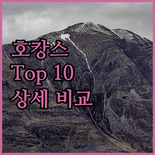 호캉스 어디로 떠날까 서울 인기 호텔