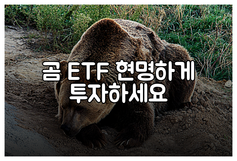 곰 ETF 현명하게 투자하세요