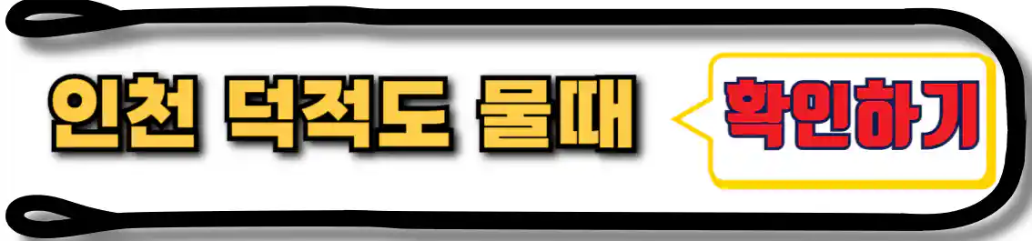 인천 덕적도 물때